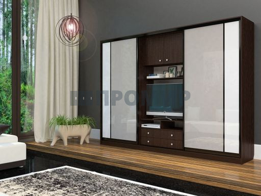 Шкаф-купе в гостиную #1