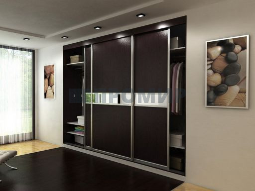 Шкаф-купе встраиваемый #3