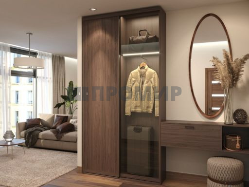 Двери-купе для прихожей