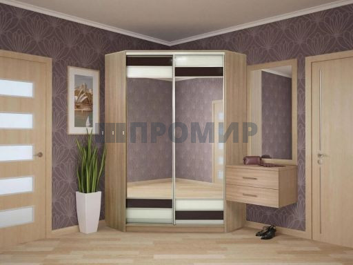 Шкаф-купе в прихожую #1