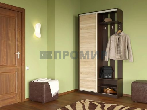 Шкаф-купе в прихожую #4