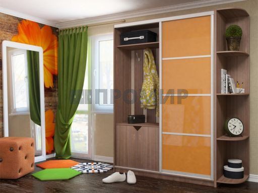 Шкаф-купе в прихожую #9