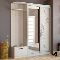 Шкаф-купе Шимо