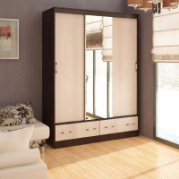 Шкаф-купе Модерн