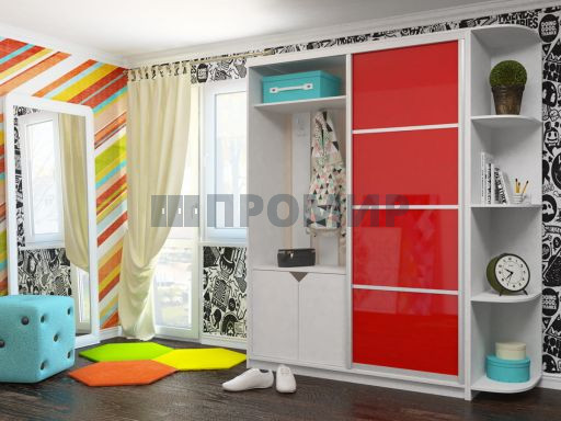 Шкаф-купе детский #1