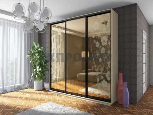 Шкаф-купе с зеркалом #7