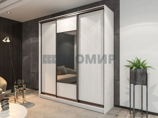 Шкаф-купе с зеркалом #8